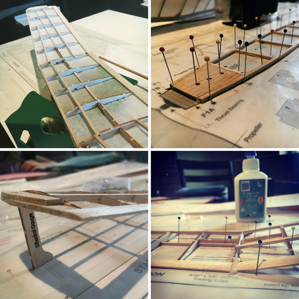 STEPS Camp Goes Virtual